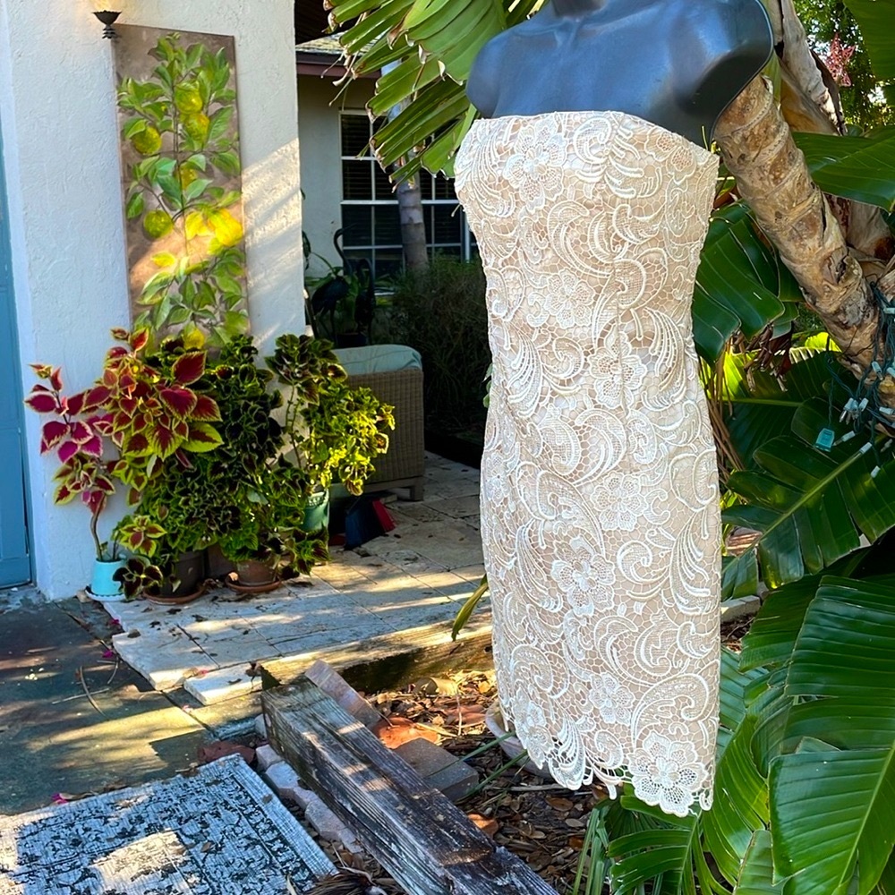 strapless corset lace cocktail dress